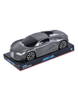 MKN495498 AUTO 19x8 cm